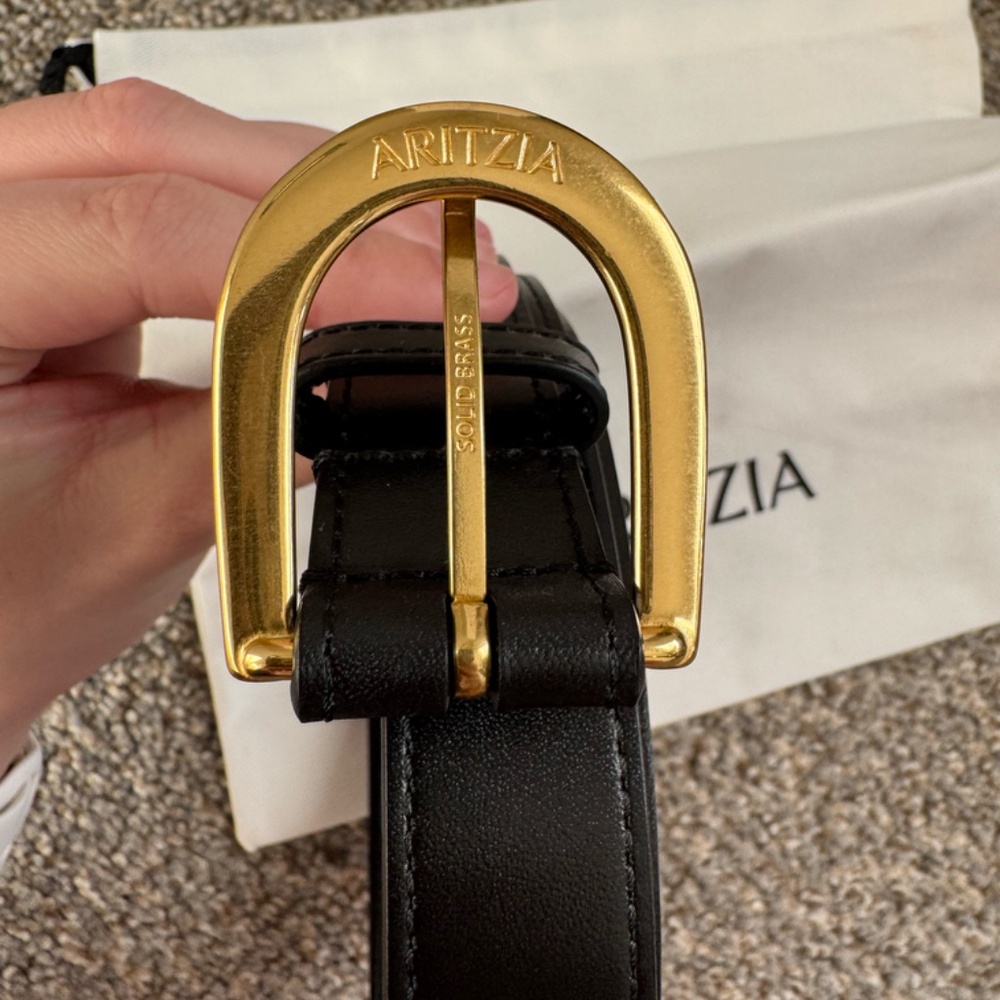 Aritzia Accent Solid Brass Leather Belt - Picture 4 of 11